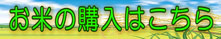 お米の販売はこちら